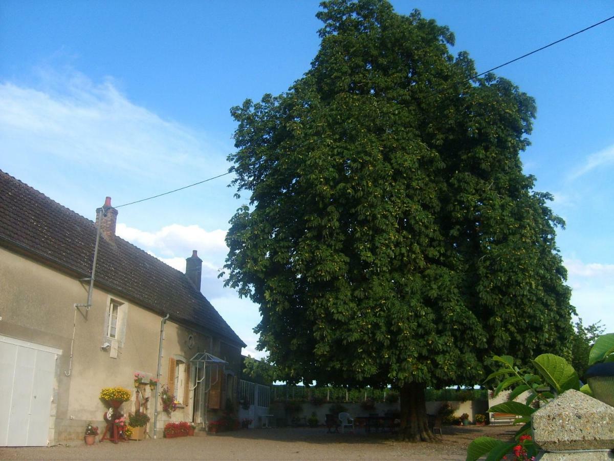 Armalou Bed and Breakfast Pouilly-sur-Loire Exteriör bild